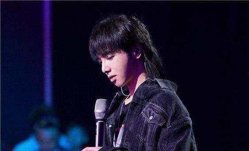 娱乐吃瓜华晨宇是谁啊